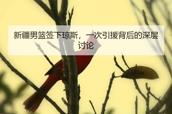 xin-jiang-nan-lan-qian-xia-qiong-si-yi-ci-yin-yuan-bei-hou-de-shen-ceng-tao-lun-2-626.jpg